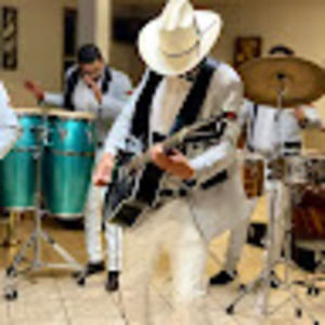 Meet your Posher, Fernando